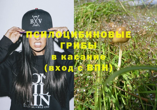 гидропоника Нея