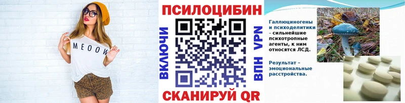 Купить закладки  Кисловодск  Галлюциногенные грибы GOLDEN TEACHER 